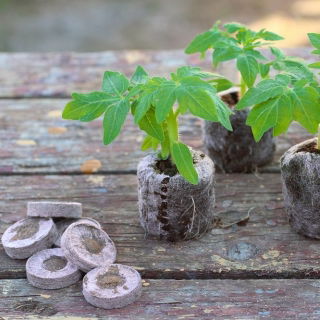 Expandable peat pellets 33 mm - 600 pcs