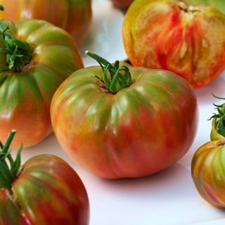 Pomodoro Pantano Romanesco BIO - per la coltivazione in campo e in serra, altissima resa - sementi certificate bio - 