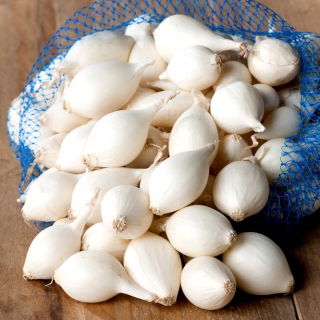 ceapa alba alba Alibaba - 10 kg - 