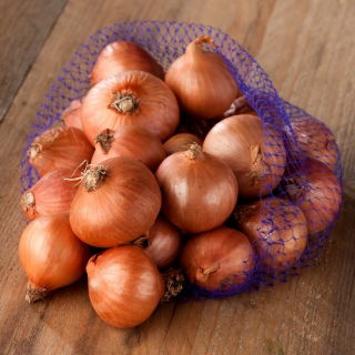 Red Sun askaloniniai laiškiniai svogūnai - 0,5 kg - 