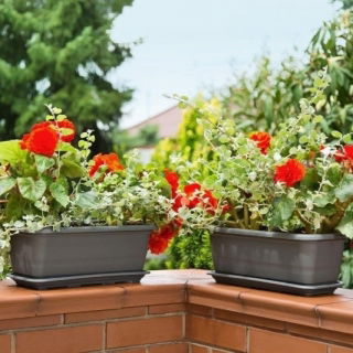 Jardinière Lamela - 50 cm - gris anthracite - 