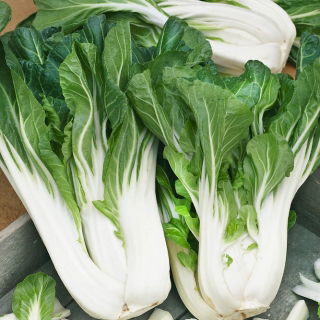 Pak-Choi - Joi Choi - Krispiga, mjälla blad, utmärkt i många rätter - Färska frön