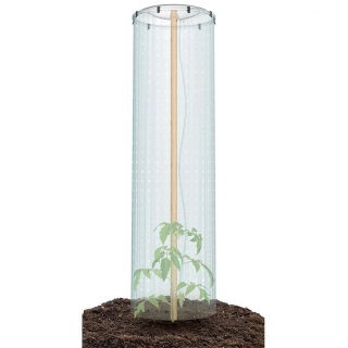 Tomat paraply cover / tomat plante hætte - Ø 40 cm - 