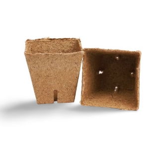 Kvadratni šotni lonček 8 x 8 cm Ø - 1 kos - 