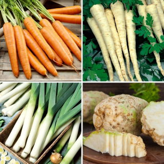 Verdure tardive - semi di 4 varietà vegetali - 