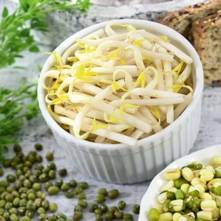 Spirefrø - Mungbønner - Hurtigtvoksende superfood til salater