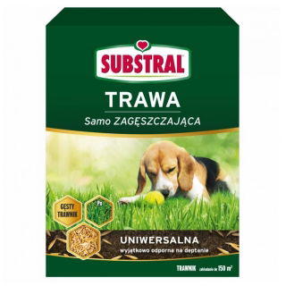 Univerzális gyep-sűrítő vetőmag kiválasztás - Aljzat - 3 kg - 