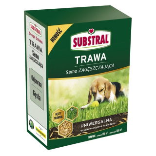 Univerzális gyep-sűrítő vetőmag kiválasztás - Aljzat - 3 kg - 
