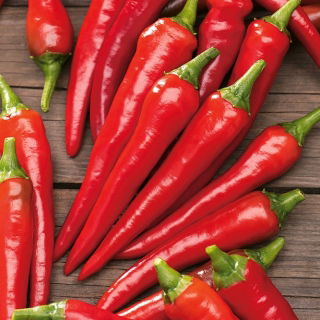 Paprika - De Cayenne - 65 seemned - Capsicum L.
