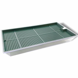 Semi che germogliano - crescione del giardino + grande germoglio GRATIS! - 