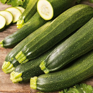 Semillas de calabacín y pepino - selección de 4 variedades - 