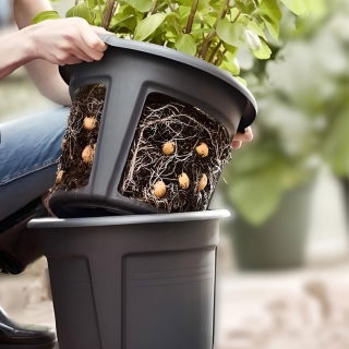 Vaso per coltivazione di patate con funzionalità di facile rimozione dei tuberi - ø 30 cm - 