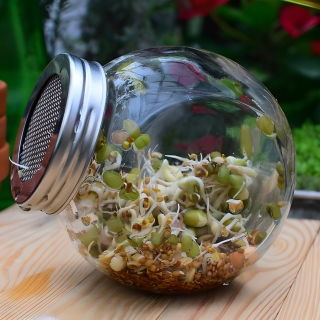 Jar asns - asnu audzēšanas trauks - 400 ml + BEZMAKSAS DĀVANAS - 