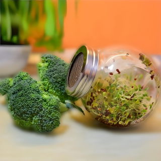 Jar sprouter - 400 ml sprout-growing container - 6 pcs + FREE GIFT