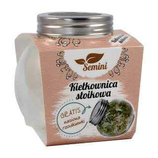 Jar asns - asnu audzēšanas trauks - 400 ml + BEZMAKSAS DĀVANAS - 
