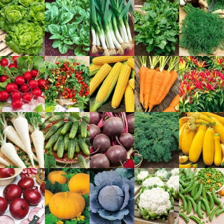Green Start - Your first vegetable garden - 20 packets of seeds