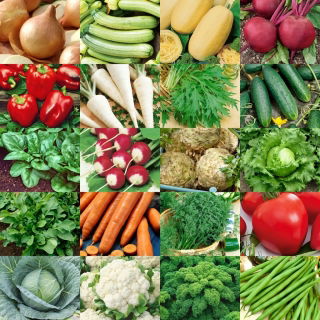 Easy Start: Your first vegetables - 20 packets of seeds