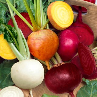 Peet - erinevad värvid - seemnelint (Beta vulgaris)
