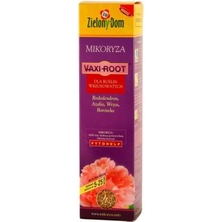Mycorrhizalis oltás - rododendron - azalea - heather - áfonya - heath - 