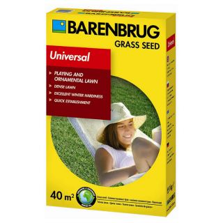 Cỏ ba lá "Green Universal" - hỗn hợp hạt giống cỏ phổ biến cho các bãi cỏ và sân vườn tại nhà - 1 kg - 