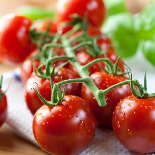 Tomate - Idyll - Tomates cocktail sucrées, pleines de saveur ! - Graines fraîches