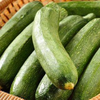 Tikvice Astra Polka sjemenke - Cucurbita pepo - 21 sjemena