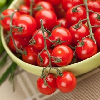 Tomato - Malinowy Kapturek - Abundant Clusters, Up to 600 Fruits Per Plant! - Fresh Seeds