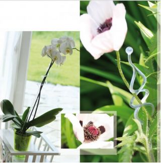 Vaso di fiori di orchidea - Coubi DSTO - 12,5 cm - Blu - 