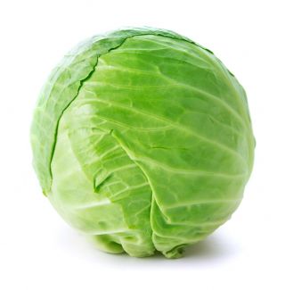 Біла капуста "Бенія" - компактні, смачні голови - Brassica oleracea convar. capitata var. alba - насіння