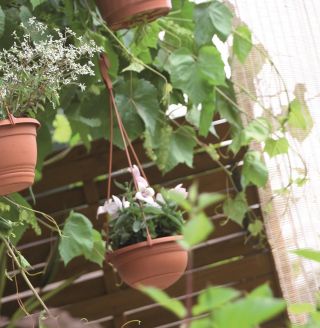 Vaso da fiori sospeso "Stella" ø 22 cm - color terracotta - 