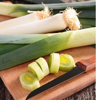 Porro - Bartek - 320 semi - Allium ampeloprasum L.