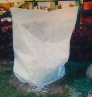 Campana de protección de plantas de invierno - 0.80 x 1.20 m - 2 piezas - 