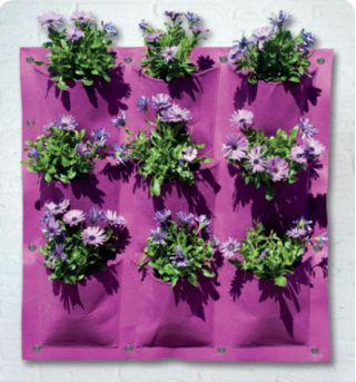 Hanging Garden - bolso com 9 câmaras - roxo - 