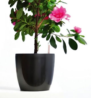 Maceta "Coubi Duo" ø 19 cm - gris - 