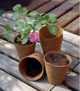 Pots de tourbe ronds ø6 cm - 100 pièces - 