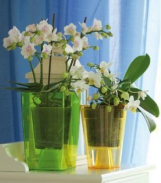 Ghiveci cu flori pătrate orhidee - Coubi - 12,6 cm - transparent - 