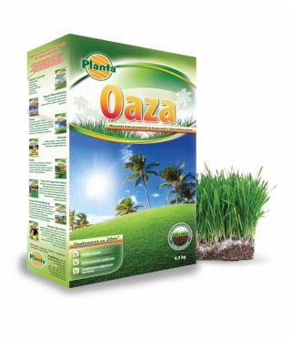 Oaza - travní směs pro suchá a slunná místa - Planta - 0,5 kg - 