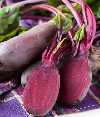 Beetroot "Rival" - 100 g of seeds - 10000 seeds