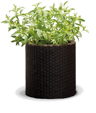 Pot tanaman bundar kecil - ø 28 cm - Penanam Silinder - berwarna coklat - 