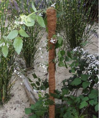 Coconut plant support stake - 32 mm / 100 cm