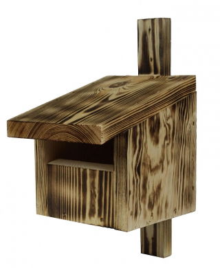 Vogelhaus für Redstarts, Amseln, Rotkehlchen und Turmfalken - verkohltes Holz - 