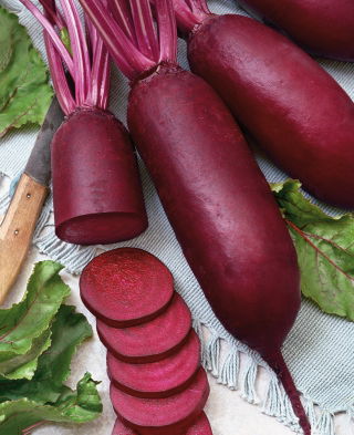Beterraba - Alexis - Beta vulgaris - sementes