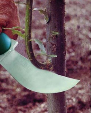 Billhook jack-knife - RACO - 
