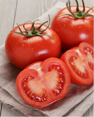 Pomodoro - Bekas F1 - Solanum lycopersicum  - semi