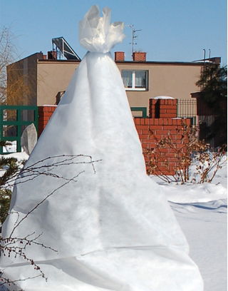 Winter plant protection sleeve / tunnel - 0.80 x 10.00 m