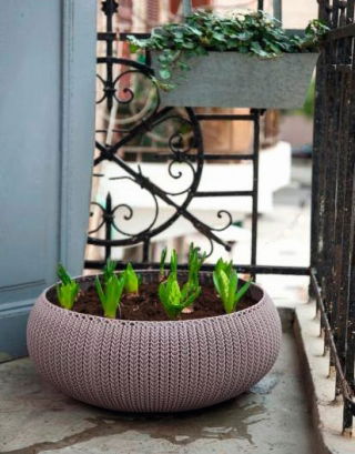 "Cozies" poco profundas, maceta baja - tazón - ø 54 cm - púrpura - 