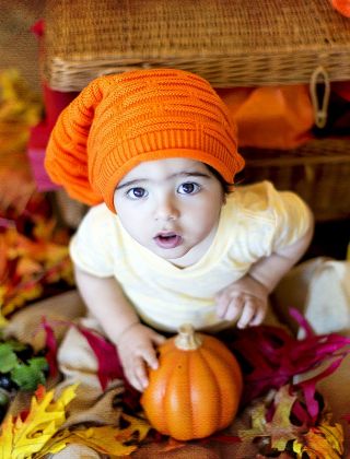 Happy Garden - Fancy Wonder Pumpkin - البذور التي يمكن أن ينمو الأطفال! - 18 بذرة - Cucurbita pepo - ابذرة
