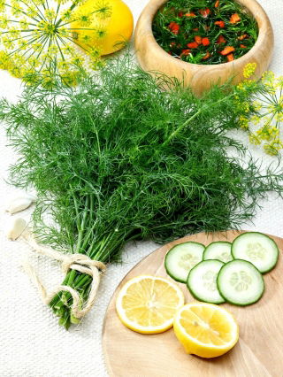 Eneldo - Kozak - Variedad aromática para uso fresco y encurtidos - Semillas frescas