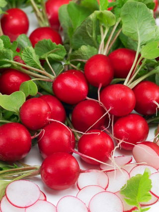 BIO - Radish "Saxa 2" - certified organic seeds - 425 seeds