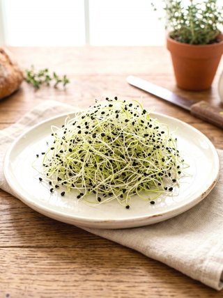 Sprouting seeds with a small sprouter - Onion